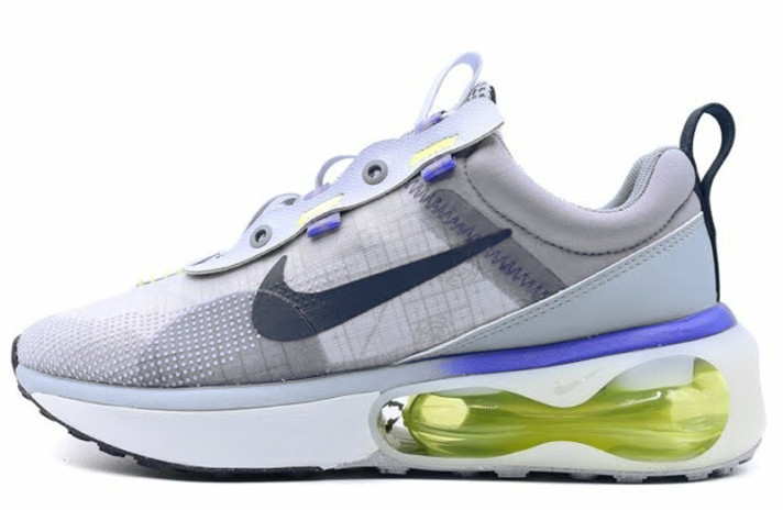 Кроссовки Nike Air Max 2021 Ashen Slate Obsidian Mist DA1925-002 серые